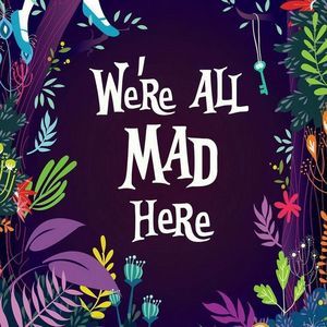 Meet your Posher, Lacey