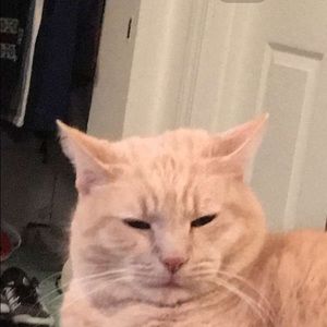 Meet your Posher, Anita