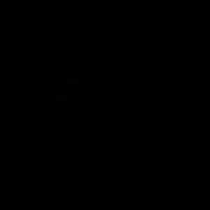 Meet your Posher, Dani