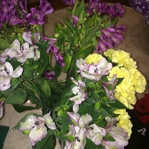 Meet your Posher, Blake