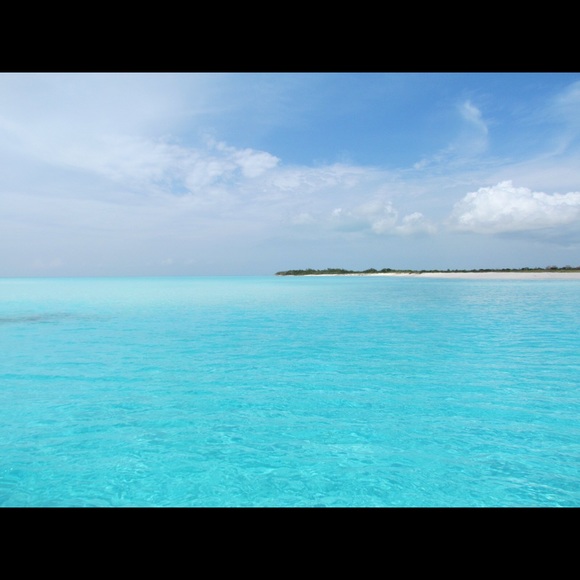 Meet your Posher, Darlene