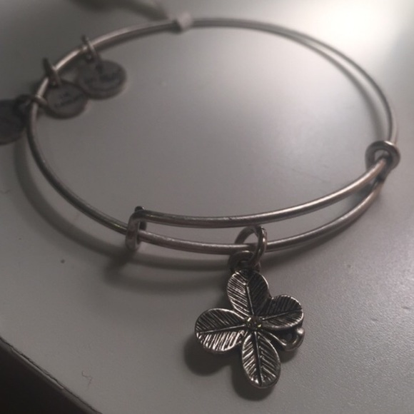 Alex and Ani Bangle