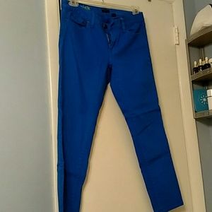 JCrew Blue Toothpick Stretch Pants
