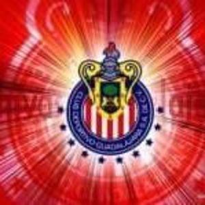 Meet your Posher, Antonio