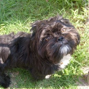 Meet your Posher, Yolanda