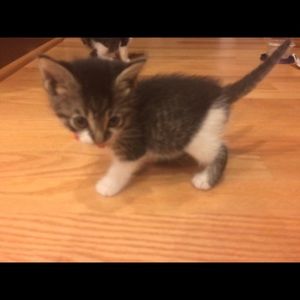 Meet your Posher, Meagan