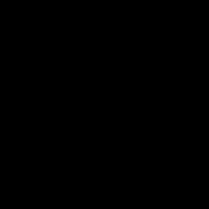 Meet your Posher, Alondra