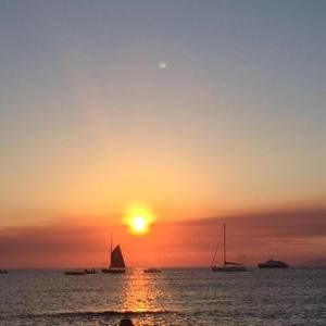 Meet your Posher, Irma