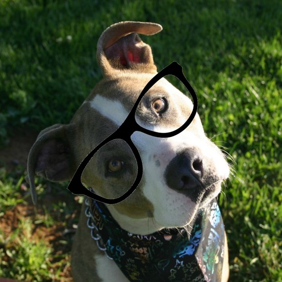 Meet your Posher, Virginia - Picture 2 of 4