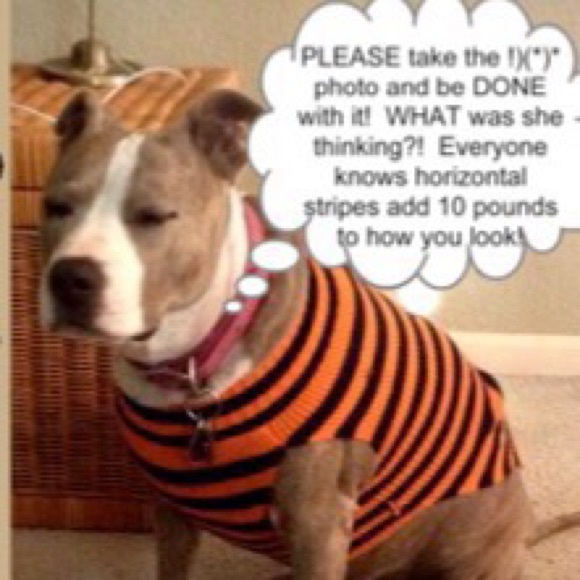 Meet your Posher, Virginia - Picture 3 of 4