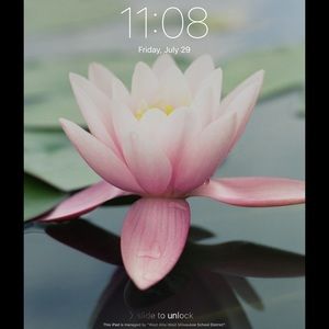 Meet your Posher, Cathy