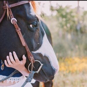 Meet your Posher, Dawn