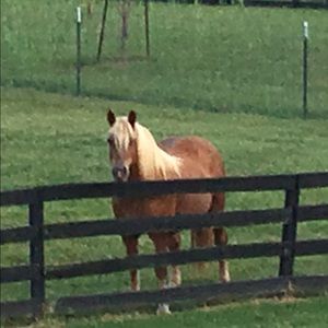 Meet your Posher, Kathy