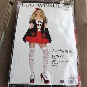 Halloween Enchanted Queen costume