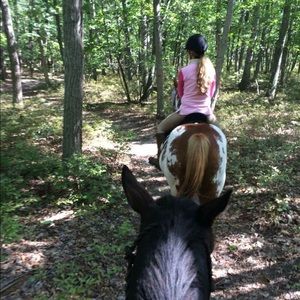 Meet your Posher, Donna