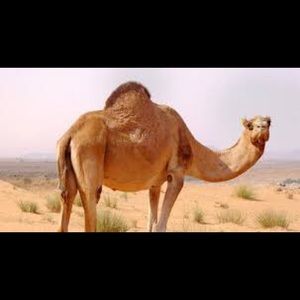 Meet your Posher, Bryce