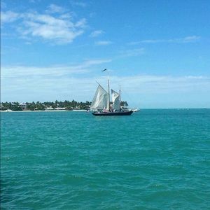 Meet your Posher, Gabby