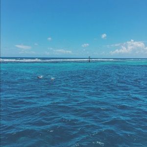 Meet your Posher, Grace