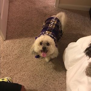 Meet your Posher, Lacey