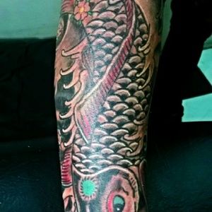 Meet your Posher, Teddy