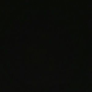 Meet your Posher, Haydee