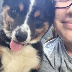 Meet your Posher, Emma