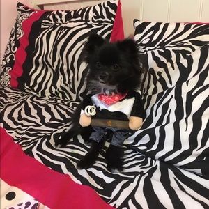 Meet your Posher, Holly