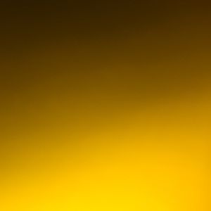 Meet your Posher, Kylie