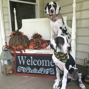 Meet your Posher, Sherry