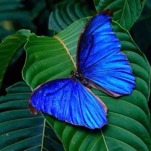 Meet your Posher, Kaye