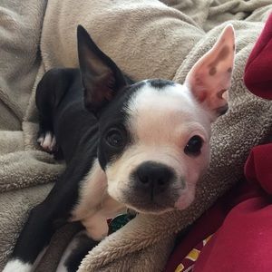 Meet your Posher, Cory