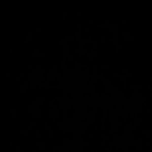 Meet your Posher, Amorita