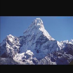 Meet your Posher, Carly