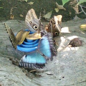 Meet your Posher, Charity