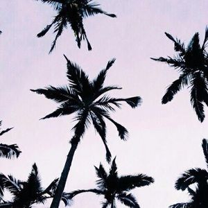 Meet your Posher, Callie