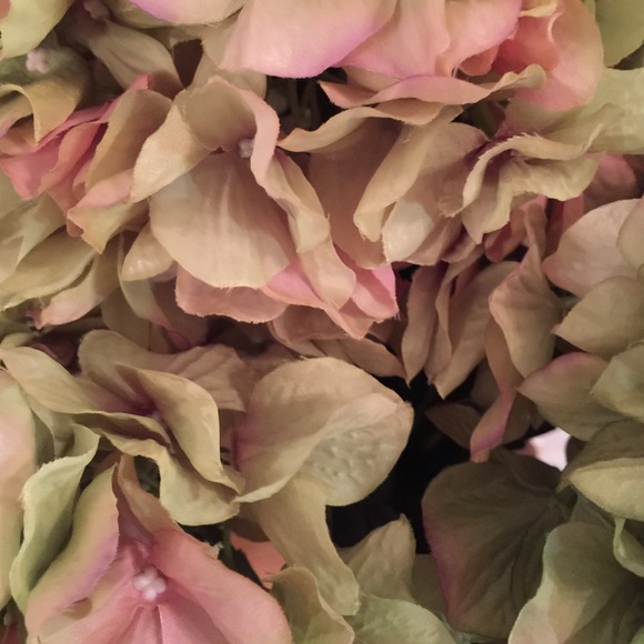 Meet your Posher, Terri - Picture 2 of 2