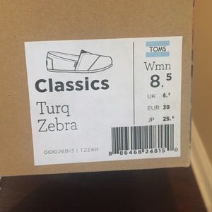 Brand new teal zebra toms size 8.5