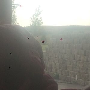 Meet your Posher, Dawson