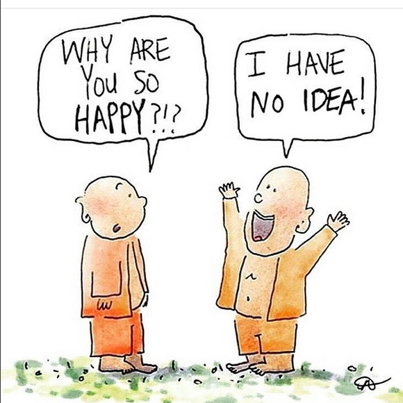 Meet your Posher, Gilly - Picture 2 of 2