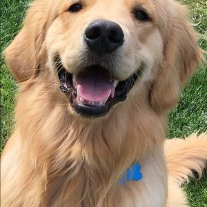 Meet your Posher, Julie