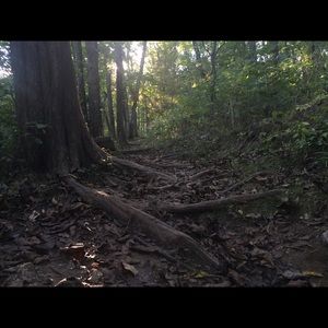 Meet your Posher, Dan