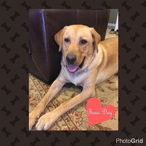 We miss you sweet boy