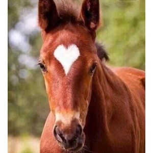 Meet your Posher, Maddie