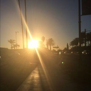 Meet your Posher, Maddie