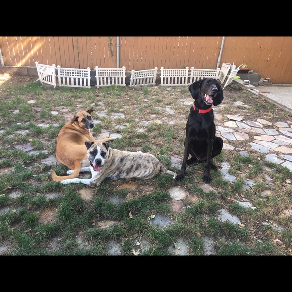 Meet your Posher, Stan