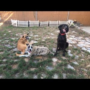 Meet your Posher, Stan