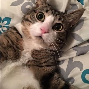 Meet your Posher, Donna