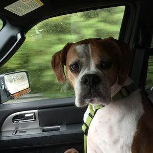 Meet your Posher, Stephen