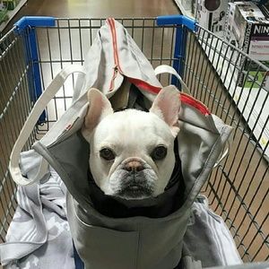 Meet your Posher, Devin