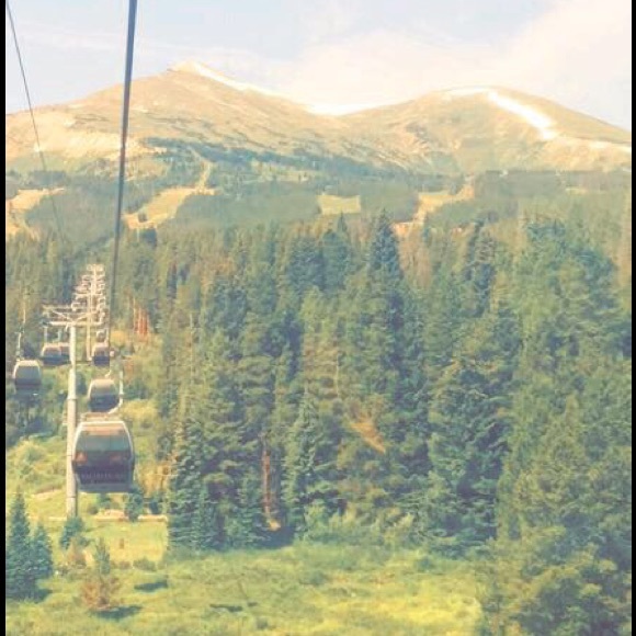 Meet your Posher, Lily